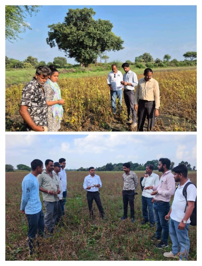 मंदसौर, गरोठ एसडीएम ने सोयाबीन फसल नुकसानी खेतों का रेंडम निरीक्षण कर किसानों को आश्वस्त किया