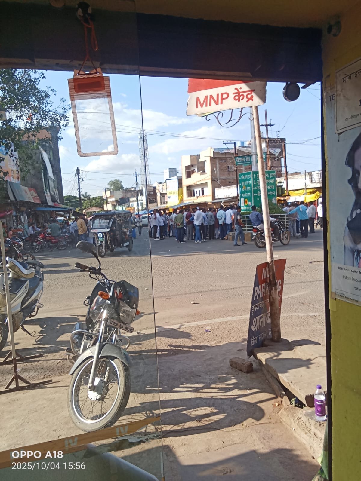 अंधेर नगरी: बीना विधानसभा में आवारा जानवरों का कहर, प्रशासन बना मूकदर्शक