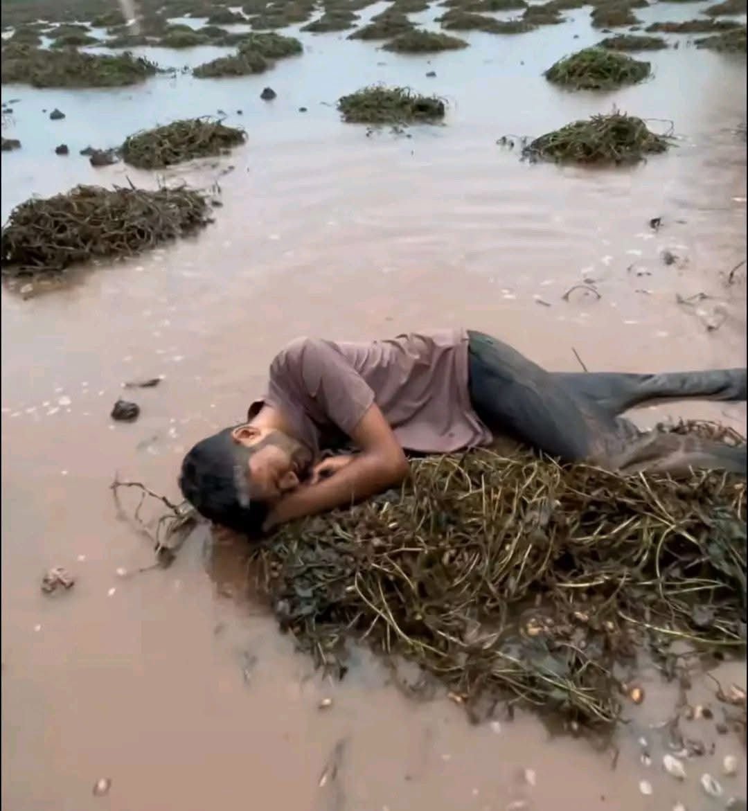 बे मौसम की बरसात ने किसानों को रुलाया। किसानों को न राज न राम आया काम ?