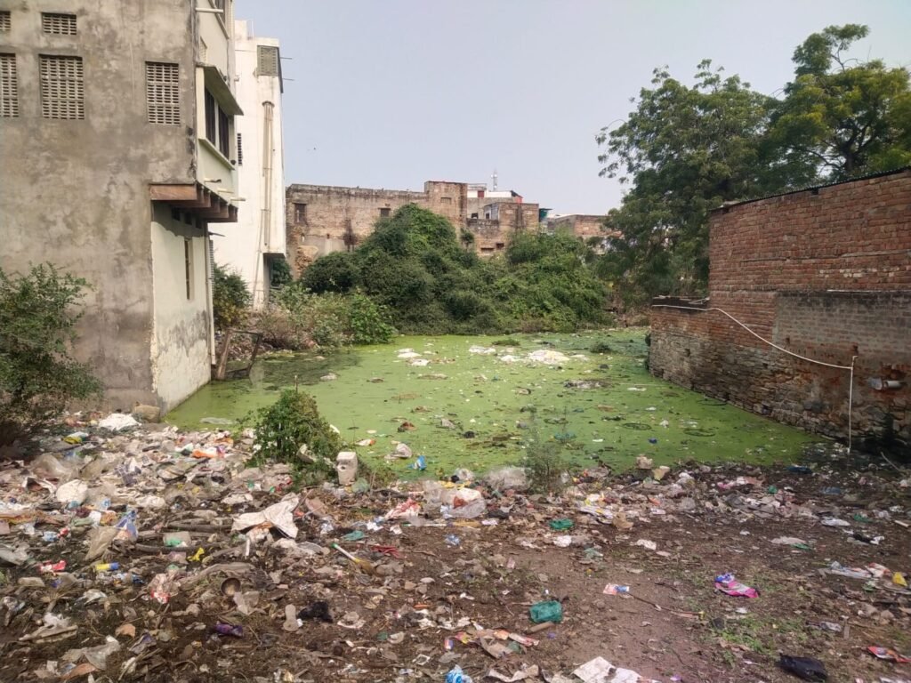कभी-कभी तो हम जब शाम को सोते है तो साँप हमारे बिस्तरों पर ही आ जाते है? डर का माहौल!