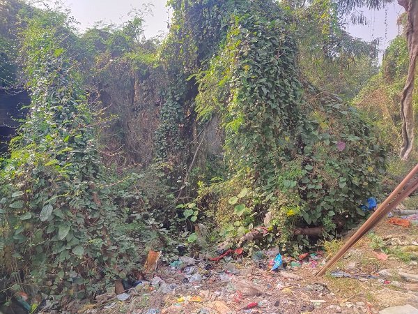 खटीक मोहल्ले में खाई (नाले) के कारण मच्छरों व साँपो से परेशान हो रहे मोहल्ले वासी