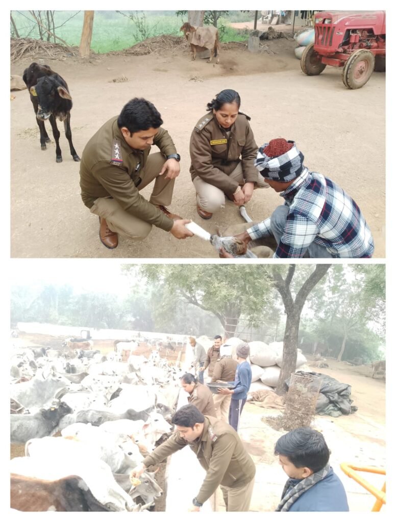 गोमाता के बीच पहुंच कर मनाया नव वर्ष।