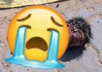 भीलवाड़ा जिले में फिर से हुई दिल दहलाने वाली घटना