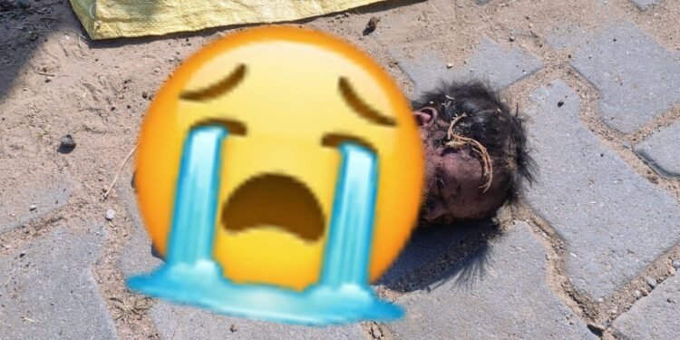 भीलवाड़ा जिले में फिर से हुई दिल दहलाने वाली घटना