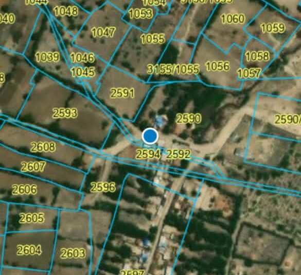 मुंशी ग्राम पंचायत में गोचर भूमि पर अवैध मकान बन के विद्युत कनेक्शन व सीसी रोड बन गए , प्रशासन की अनदेखी।