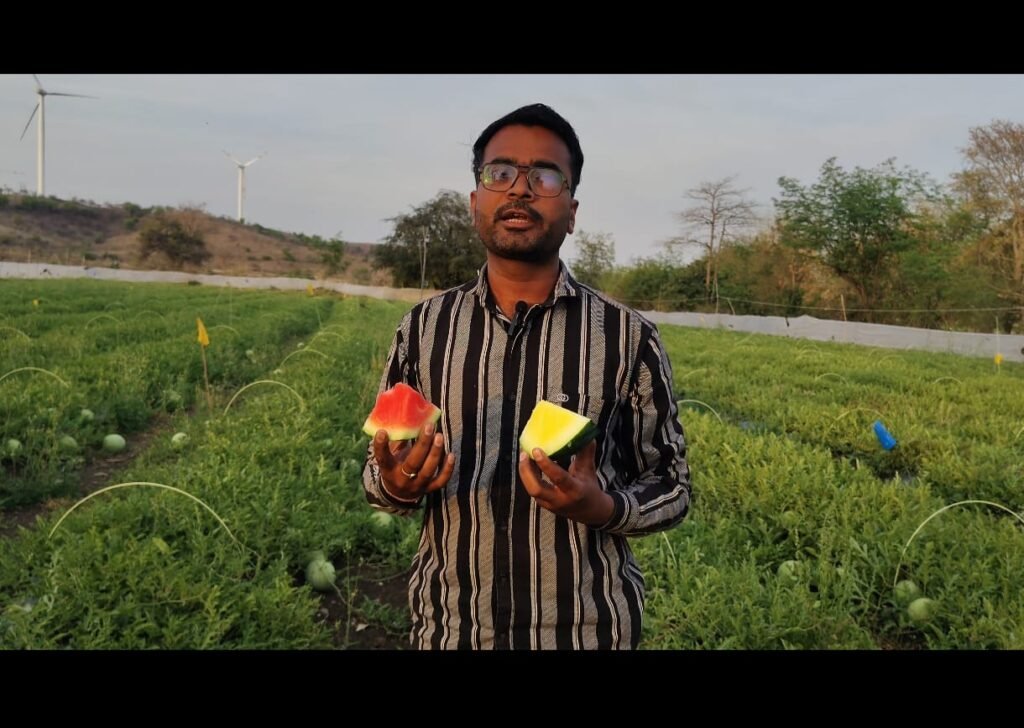 2 बीघा में 8 लाख की कमाई : युवा किसान राकेश यादव की तरबूज खेती बनी मिसाल