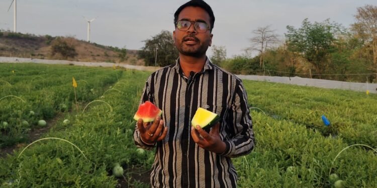 2 बीघा में 8 लाख की कमाई : युवा किसान राकेश यादव की तरबूज खेती बनी मिसाल