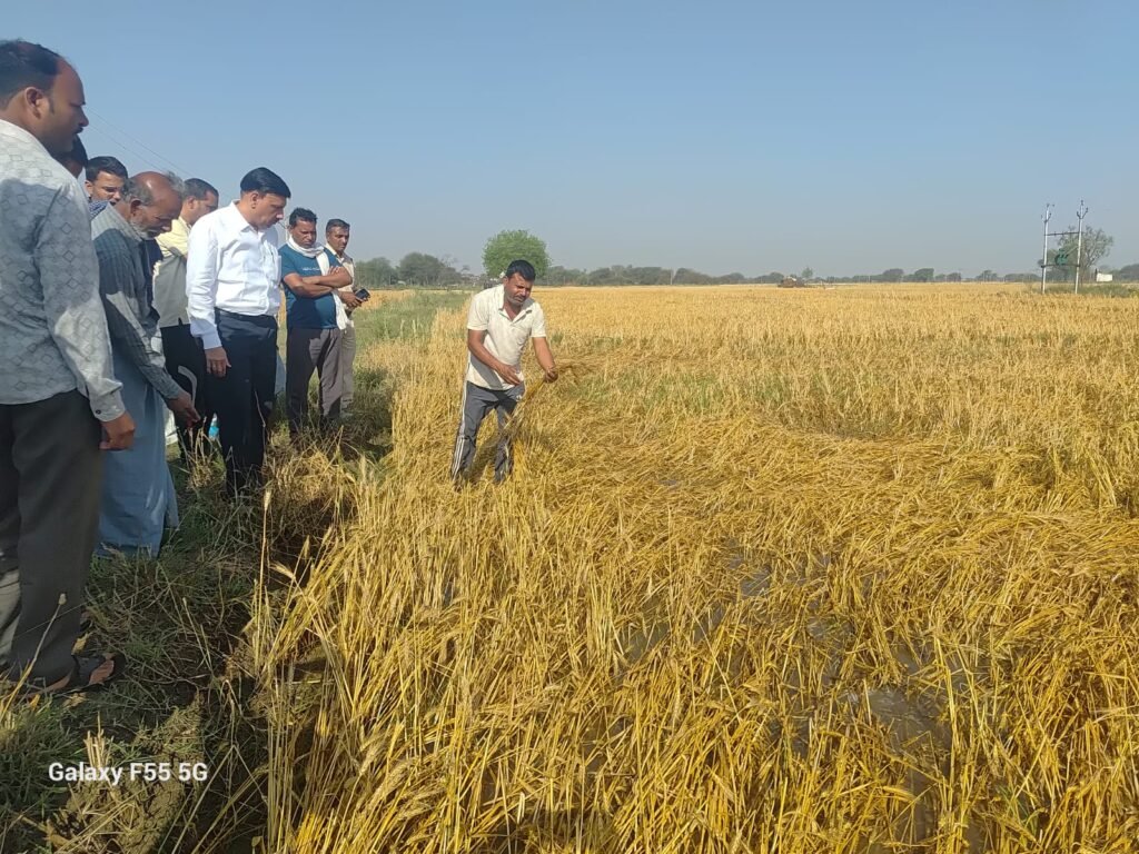ओलावृष्टि से प्रभावित किसानों के बीच पहुँचा प्रशासन राहत एवं सर्वे कार्य तेज।