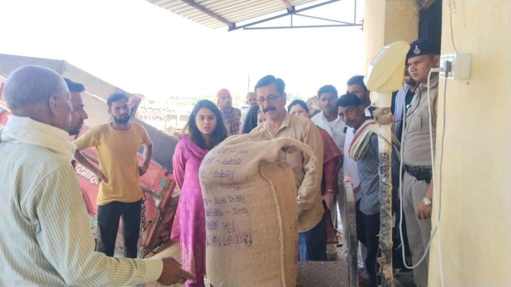 कलेक्टर सुश्री बाफना ने गेहूं उपार्जन कार्य का निरीक्षण किया