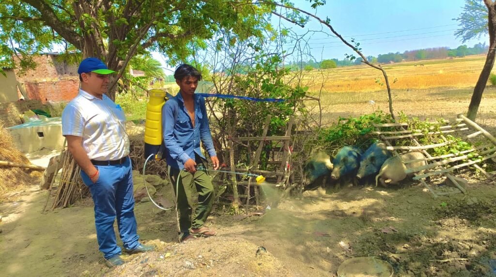 पशुपालन विभाग ने चलाया संचारी रोग नियंत्रण अभियान