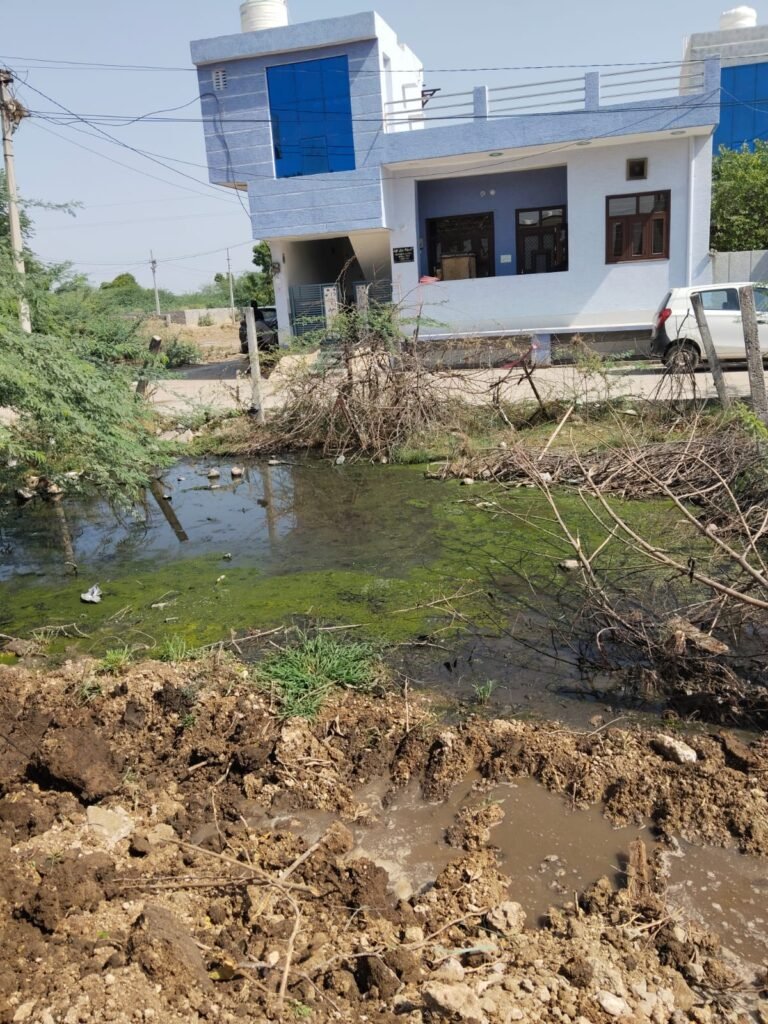 राजस्थान। शिव कॉलोनी में नालियों के अभाव से गन्दा पानी कॉलोनी में फेल रहा व मच्छरों के कारण डेंगू का खतरा