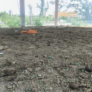 राजस्थान। कोटडी रोड स्थित खटीक समाज, जीनगर समाज, कोली समाज धोबी समाज श्मशान घाट की बदहाल स्थिति, सफाई व्यवस्था सुधारने की मांग