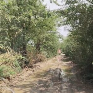 भीलवाड़ा। रायपुर से प्रतापपुरा रोड पर हो रहा कीचड़,ग्रामवासियों को होती है आने-जाने ने दिक्कत
