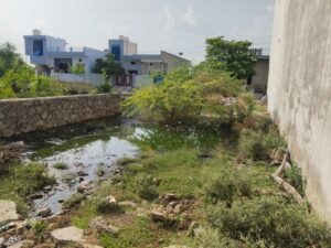 भीलवाड़ा। शिव कॉलोनी में नालियों के अभाव से गन्दा पानी कॉलोनी में फेल रहा व मच्छरों के कारण डेंगू का खतरा