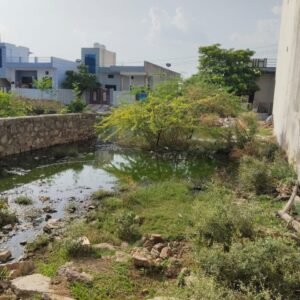 भीलवाड़ा। शिव कॉलोनी में नालियों के अभाव से गन्दा पानी कॉलोनी में फेल रहा व मच्छरों के कारण डेंगू का खतरा