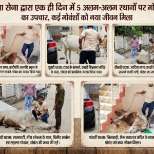 एक ही दिन में 5 अलग-अलग स्थानों पर गौरक्षा सेना ने किया गोवंश का उपचार, कई गोवंशों को नया जीव.न मिला