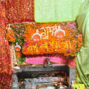 आज से शुरू होंगे धनोप माता जी के आषाढ़ गुप्त नवरात्र, शुभ मुहूर्त में होगी घटस्थापना; जानिए पूजन विधि, शुभ योग और नौ दिनों का महत्व