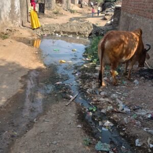 रायपुर ग्राम पंचायत की बदहाल व्यवस्थाओं को लेकर जिला कलेक्टर को सौंपा जनहित ज्ञापन