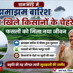 ग्राम भरड़  में झमाझम बारिश से खिले किसानों के चेहरे, फसलों को मिला नया जीवन