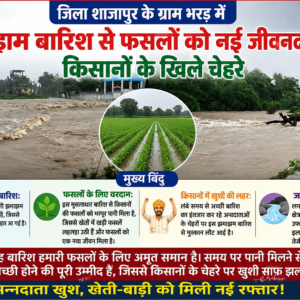जिला शाजापुर के ग्राम भरड़ में झमाझम बारिश से फसलों को नई जीवनदान, किसानों के खिले चेहरे​