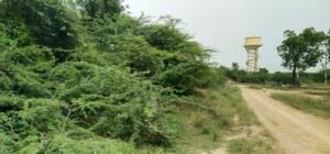 IMG-20260921-WA0037